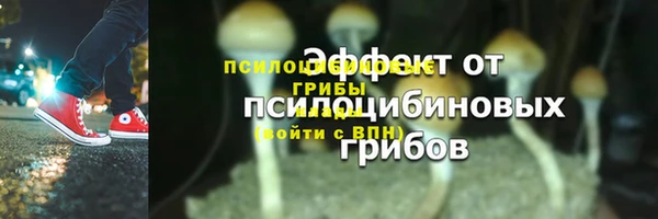 круглые Пересвет