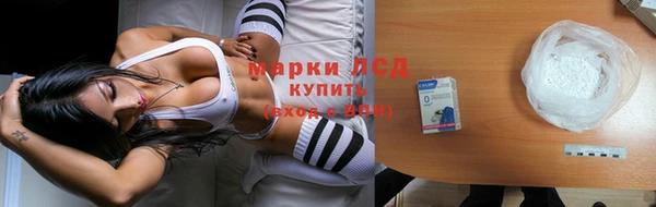 PSILOCYBIN Армянск