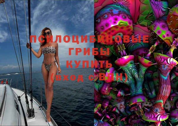 PSILOCYBIN Армянск