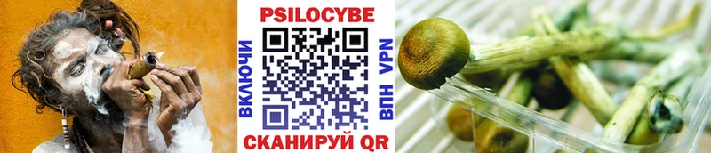 что такое наркотик  Новопавловск  Галлюциногенные грибы Magic Shrooms 