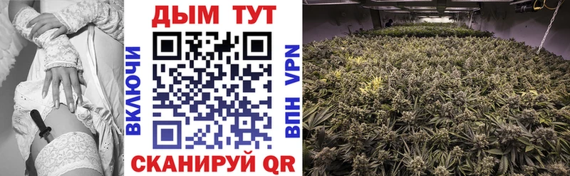 купить закладку  Новопавловск  Бошки марихуана тримм 